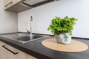 Eine Küche mit Spüle, Wasserhahn und einem Blumentopf auf einer runden Matte.