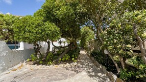 A stone pathway leading through a lush garden area with various trees and shrubs. - La Casa Del Sole- Luxury home (San Giovanni di Sinis)