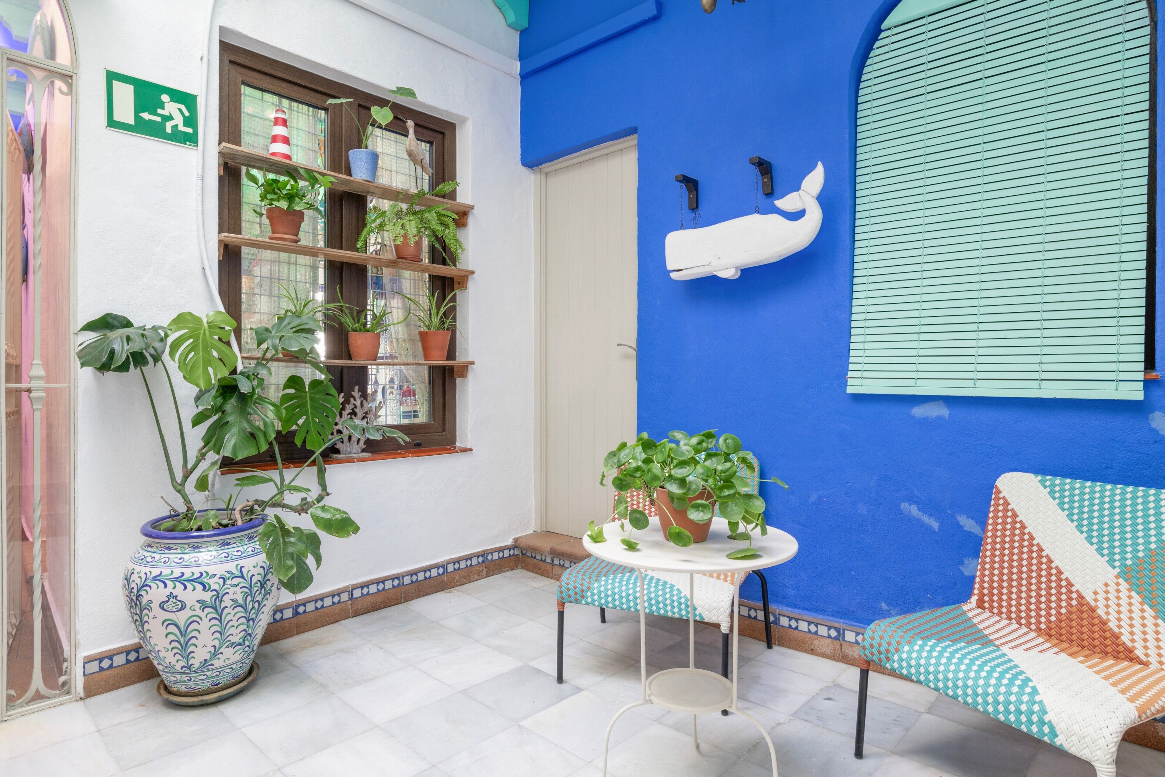 Una habitación con piso de baldosas, una mesa blanca y una silla con estampado azul y blanco, una planta grande en maceta, un estante con varias plantas en macetas y un equipo de aire acondicionado instalado en la pared.