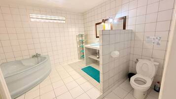 Shower, hair dryer