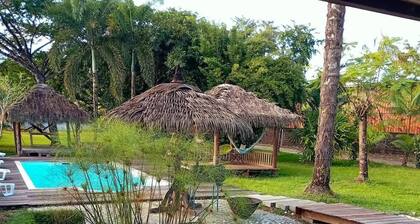 La Villa des Palmiers Bleus - Piscine & Jardin