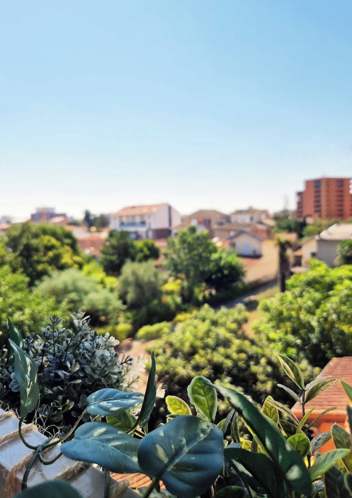 Jardines del alojamiento