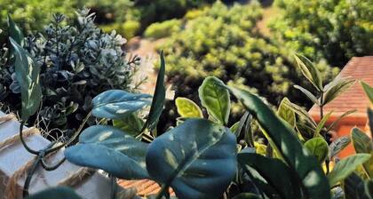 Le Chérubin - Joli Studio proche centre et tram