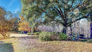 Interior - Quiet Studio Backed By Woods, Dog-friendly Yard (Fort Valley)