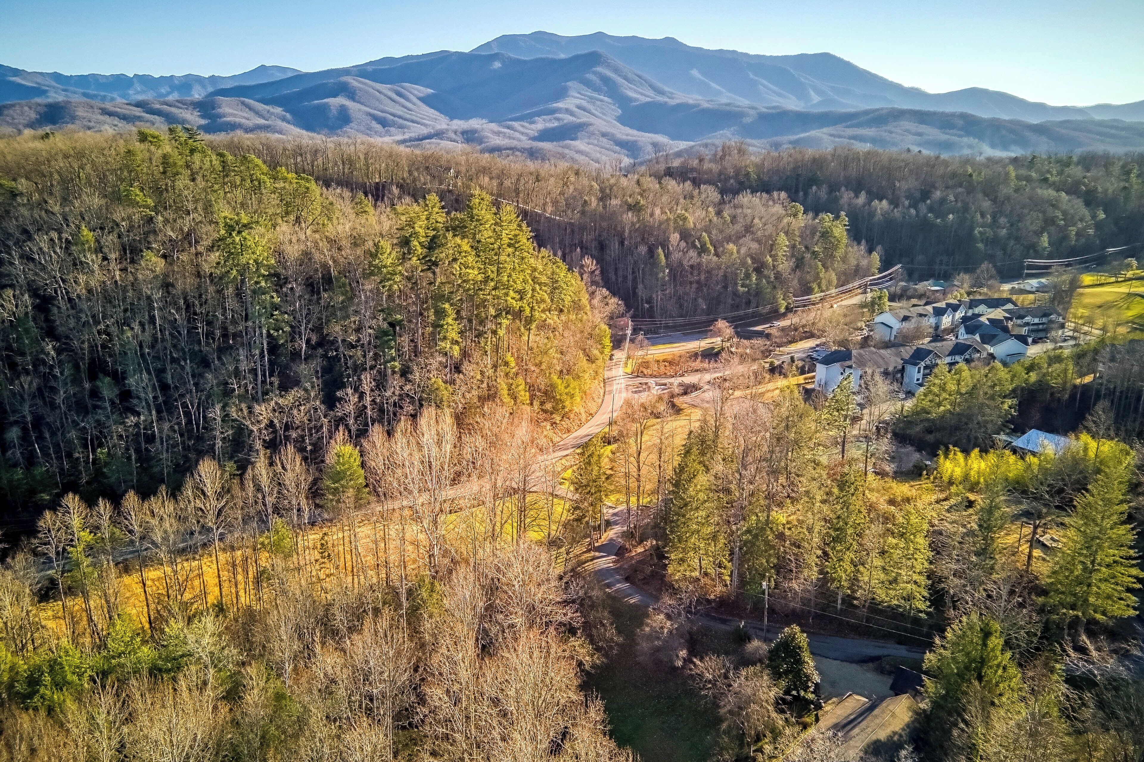 A mountainous landscape with a winding road, a small settlement with houses, and dense forest.
