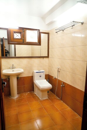 Regadera, secadora de cabello, toallas, jabón 