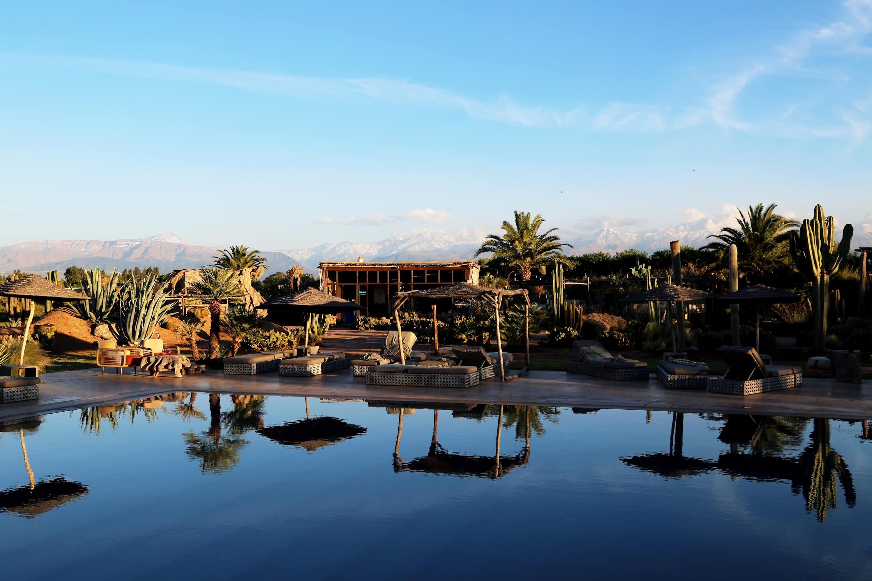 A pool area with lounge chairs and umbrellas, surrounded by cacti and palm trees, with mountains in the background.