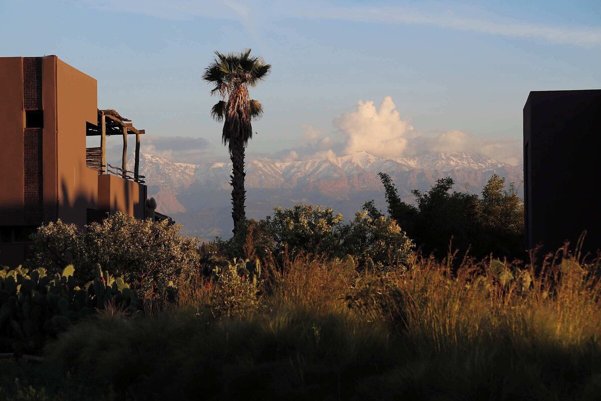 Image de profil de l’hôte