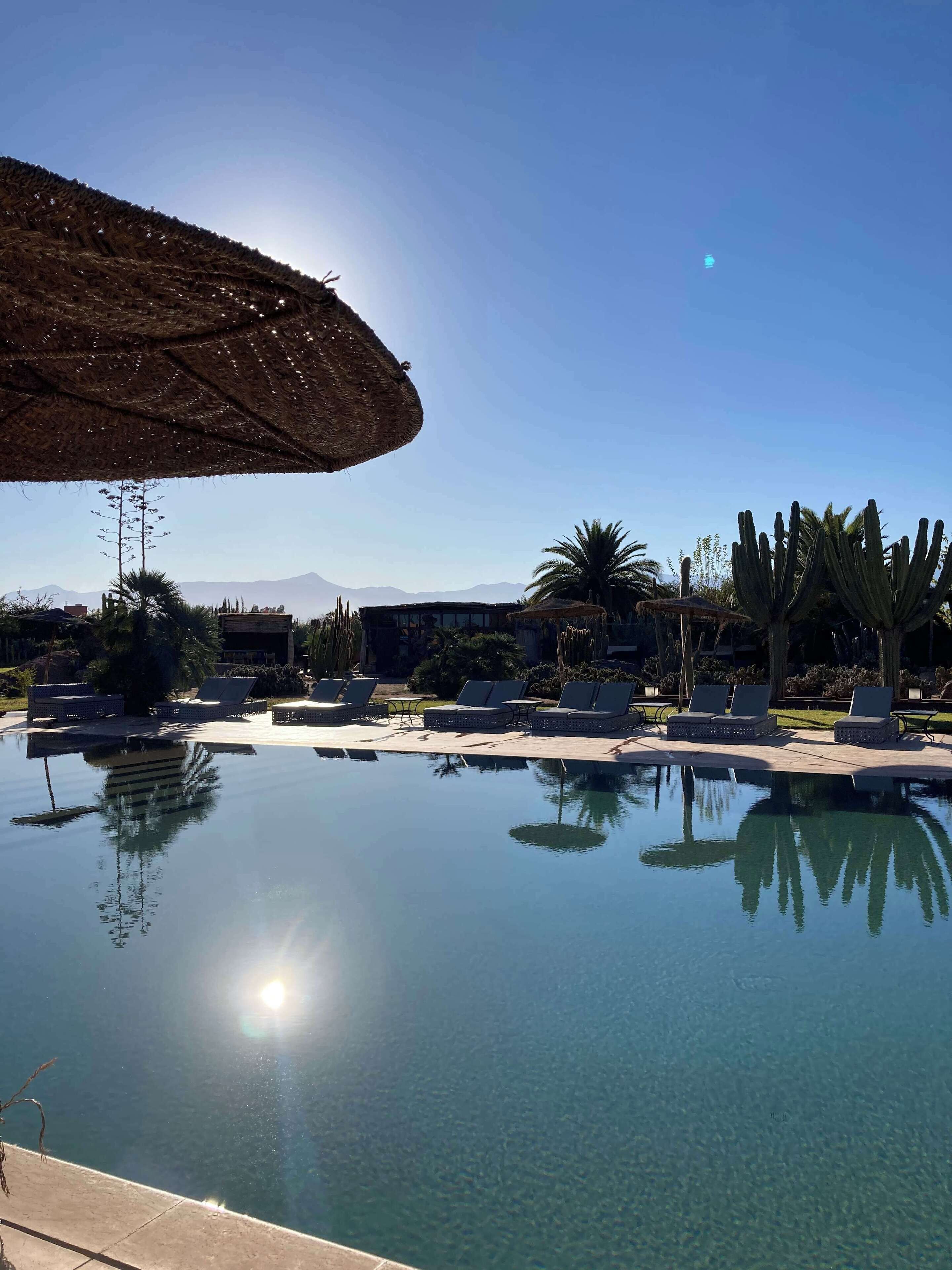 A clear pool with lounge chairs and umbrellas, surrounded by cacti and palm trees, with mountains in the background.