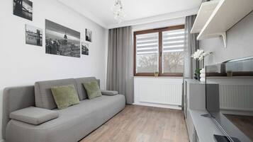 Fernseher, Arbeitsbereiche