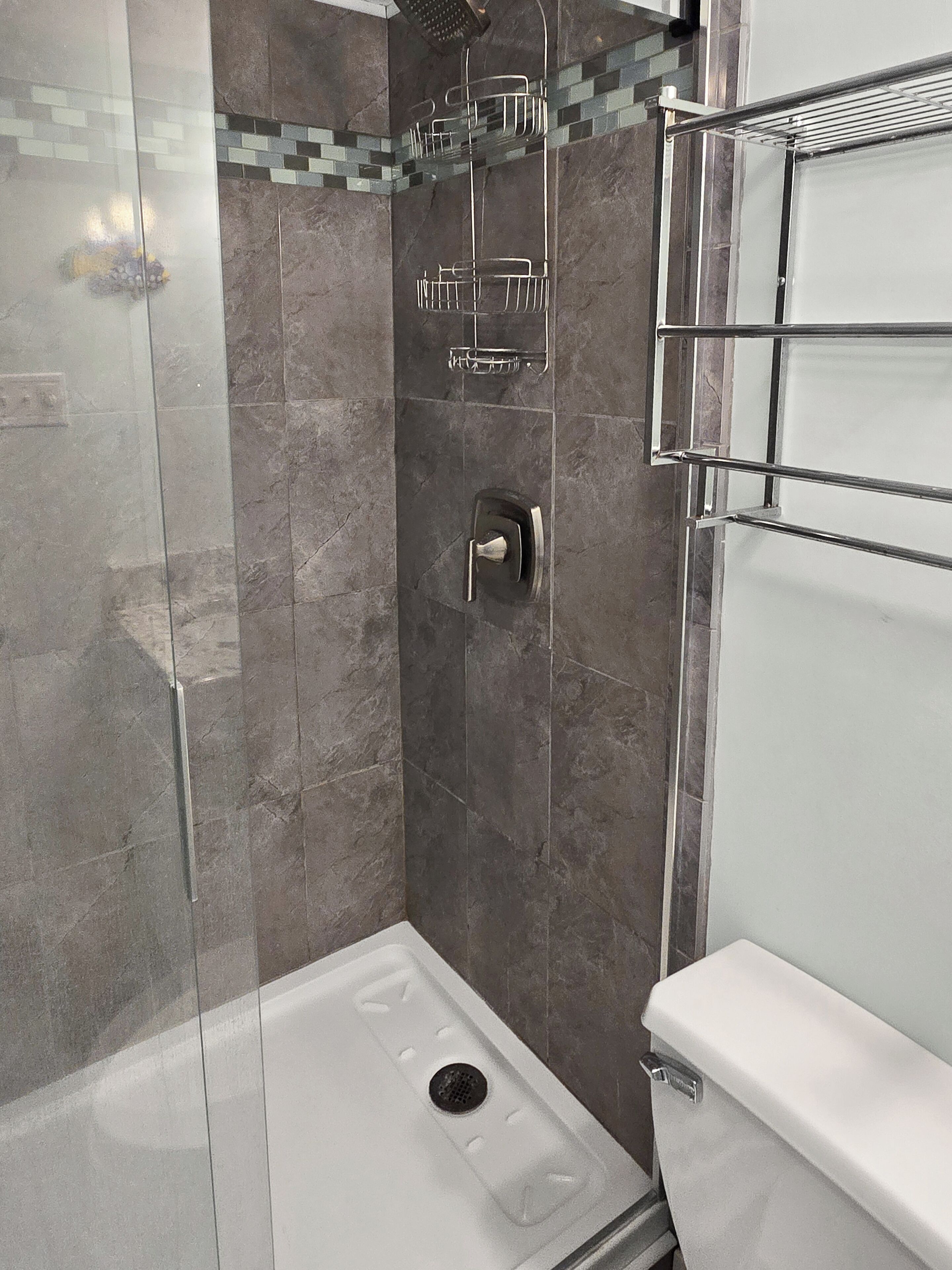 Eine Dusche mit Glastür, ein Metallregal und eine Toilette.