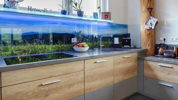 Fridge, microwave, stovetop, dishwasher