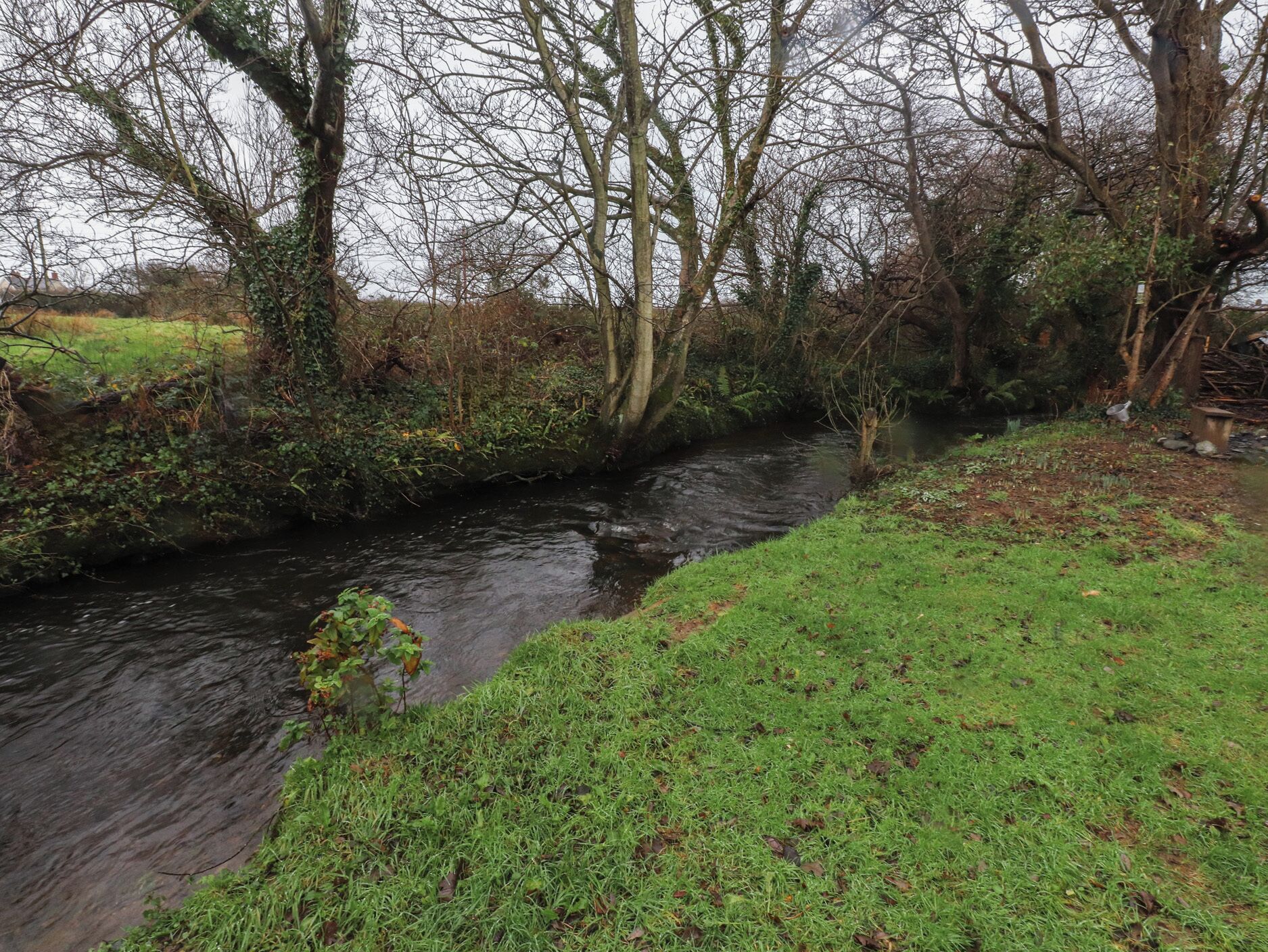 A narrow river with trees on both sides, surrounded by grassy banks.