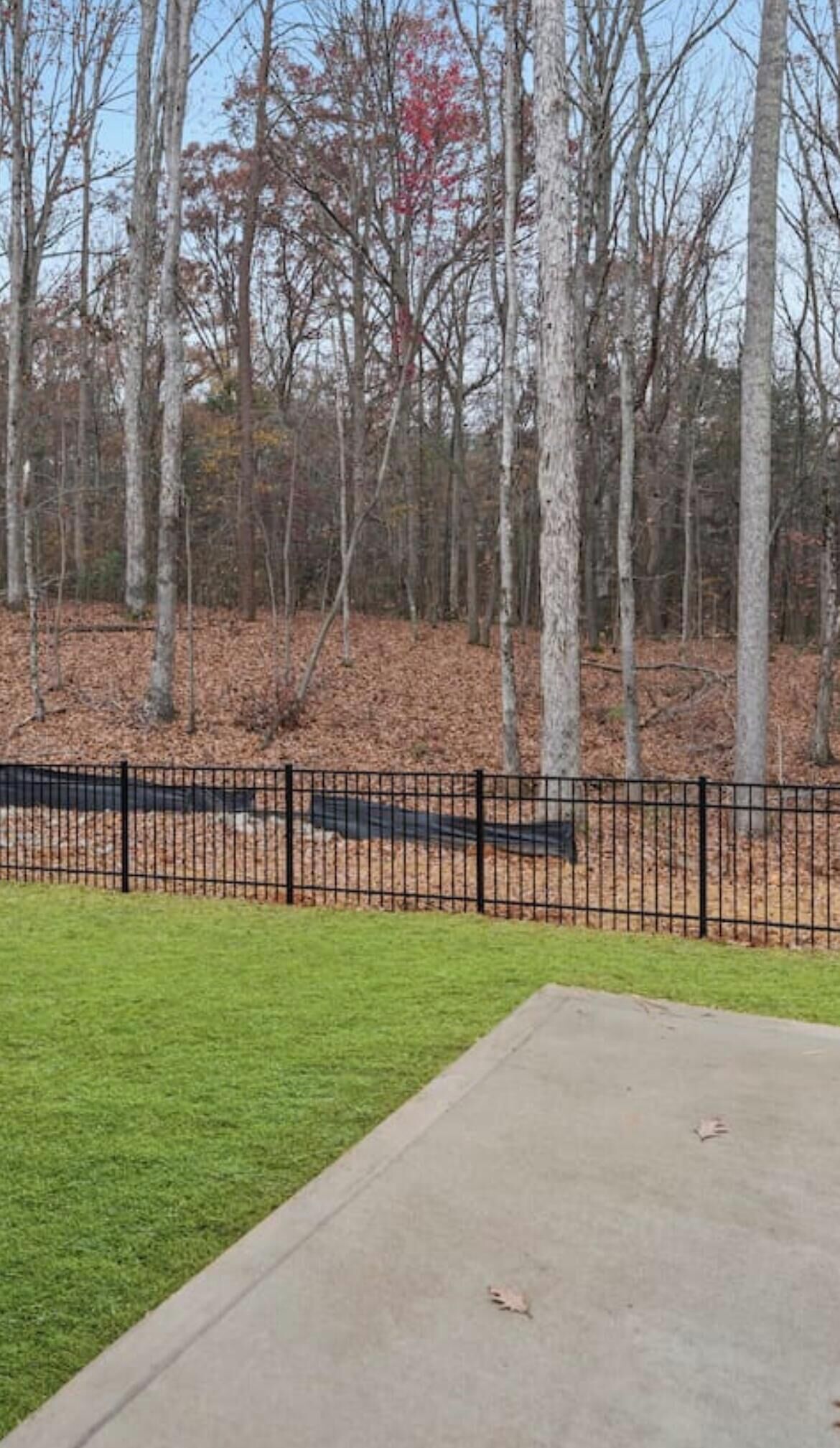 A park with a paved walkway, a grassy area, and a black metal fence.