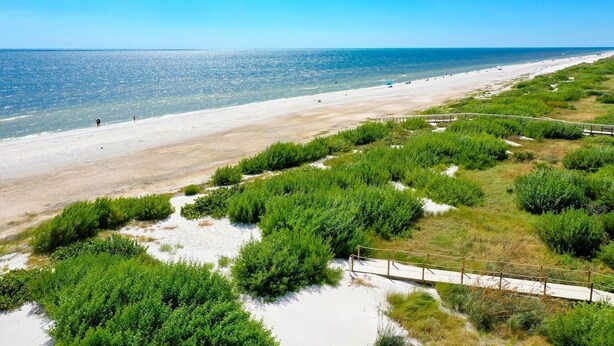 En strand med en träpromenad, sandstrand och grönskande växtlighet.