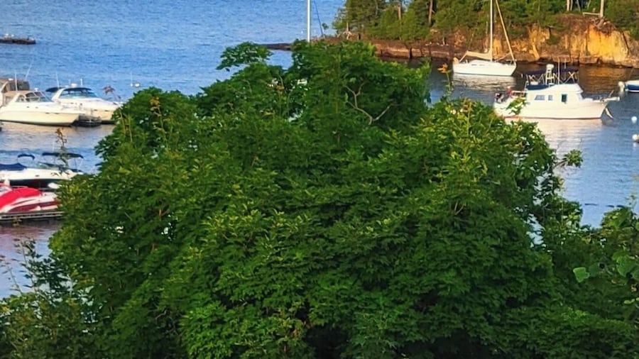 Spacious Beach Cabin w/ Lake Access 4BR