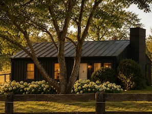 A rustic cabin with a metal roof, surrounded by lush greenery and white hydrangea bushes.