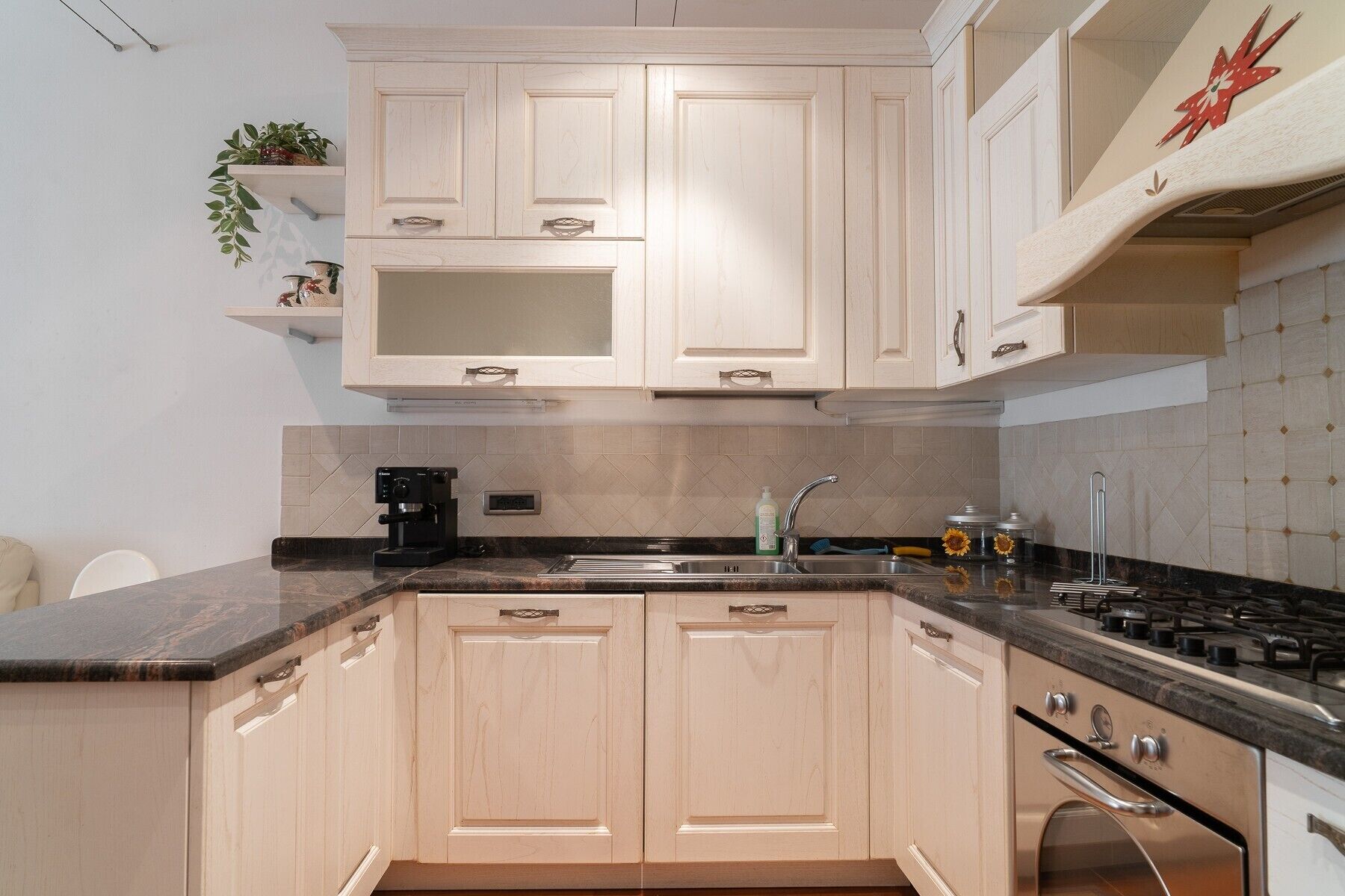 Fridge, oven, stovetop, dishwasher