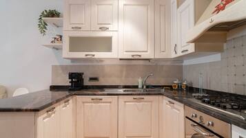 Fridge, oven, stovetop, dishwasher