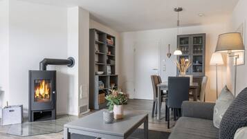 Télévision, cheminée, lecteur de DVD