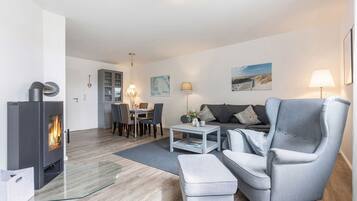 TV, fireplace, DVD player