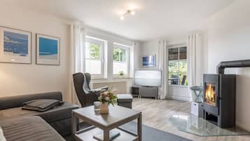 Fernseher, Kamin, DVD-Player