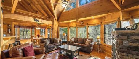 TV, fireplace, DVD player