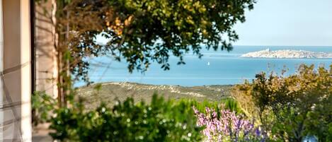 Terrain de lâhĂ©bergement