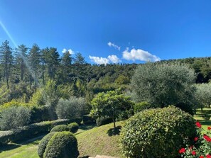 Property grounds - Podere Casanova - Gilvus Relax in San Gimignano (San Gimignano)