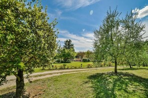 Property grounds - Podere Casanova - Caesius Home Pool & View (San Gimignano)