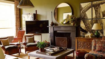 TV, fireplace, books