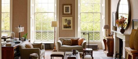 TV, fireplace, books