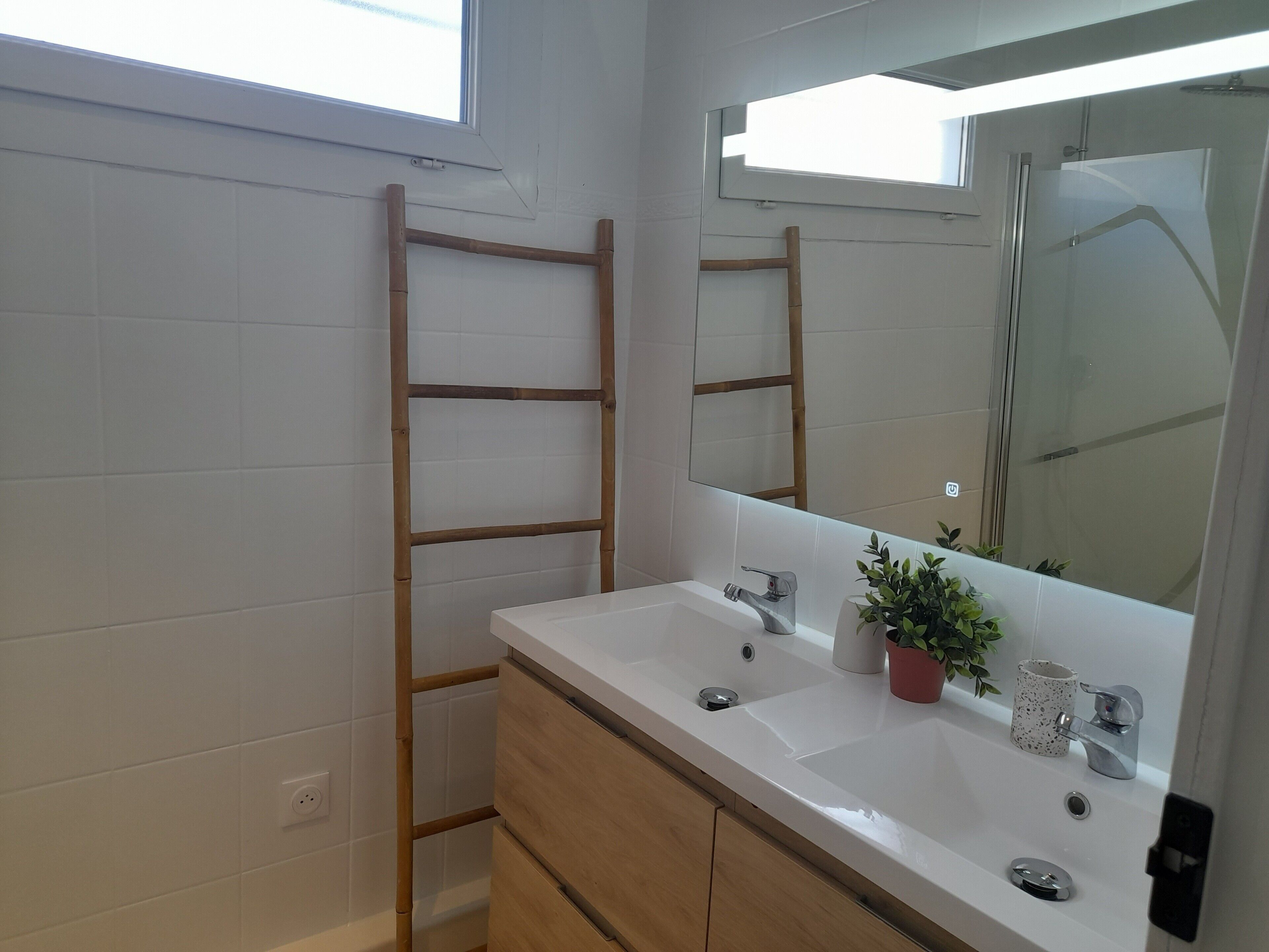 Shower, hair dryer