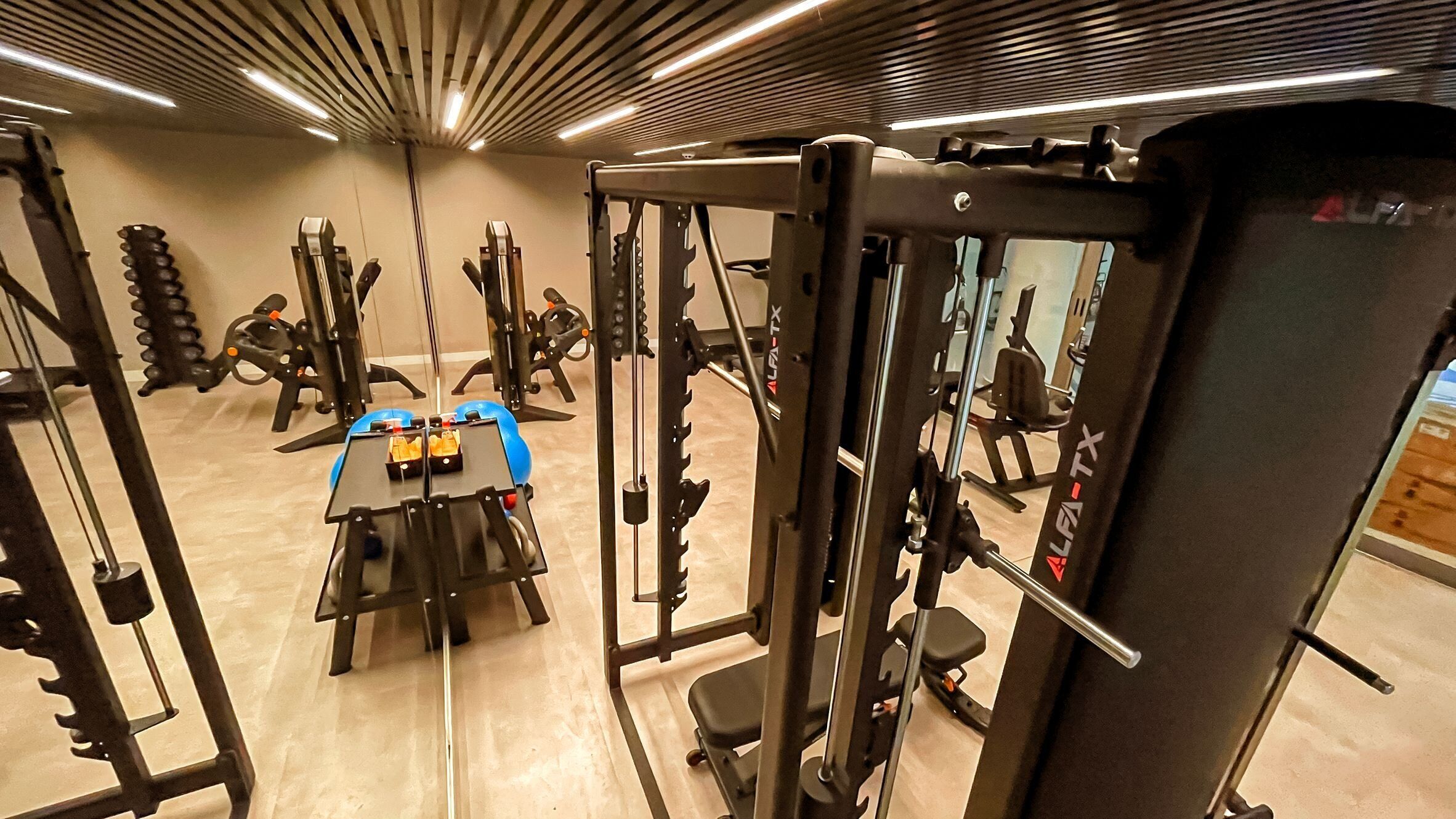 Un gimnasio con diversas máquinas de ejercicio, incluyendo una estructura para sentadillas y bancos de pesas.