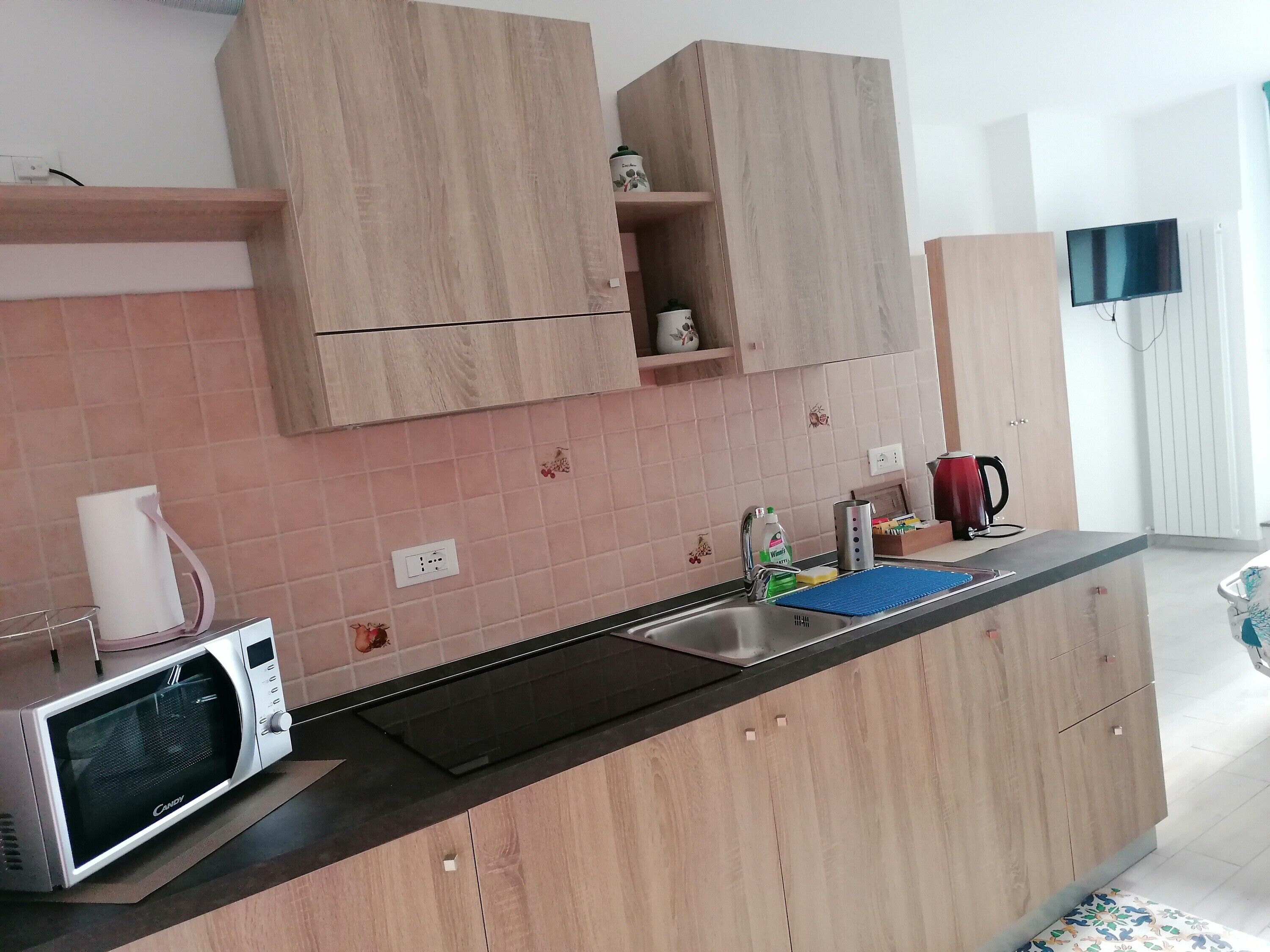 Réfrigérateur, micro-ondes, plaque de cuisson, lave-vaisselle