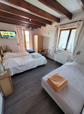 Iron/ironing board, WiFi, bed sheets - Gite le petit cocon d'auré (Corbelin)