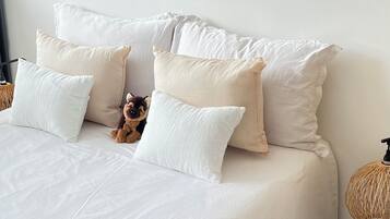 6 habitaciones, tabla de planchar con plancha, wifi y ropa de cama
