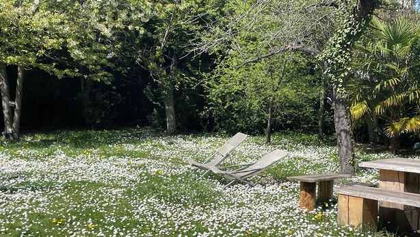 Een tuin met een houten bankje en een loungestoel, omringd door witte bloemen.