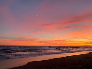 Nära stranden