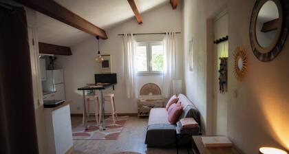 Quiet, cocooning apartment 1.2km from the center. Mountain and river views nearby