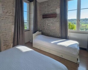 9 bedrooms, iron/ironing board, travel crib, free WiFi - Large, charming 30-bed gîte with SPA and plenty of space (Langres)