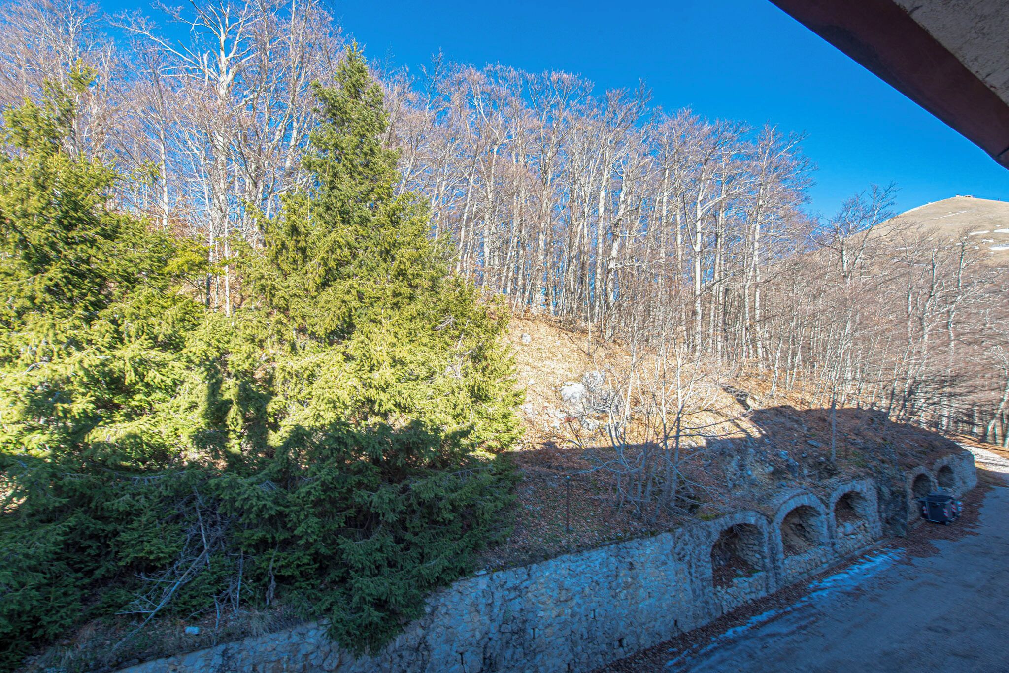 Land view from property