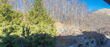 Vue sur la campagne depuis l’hébergement