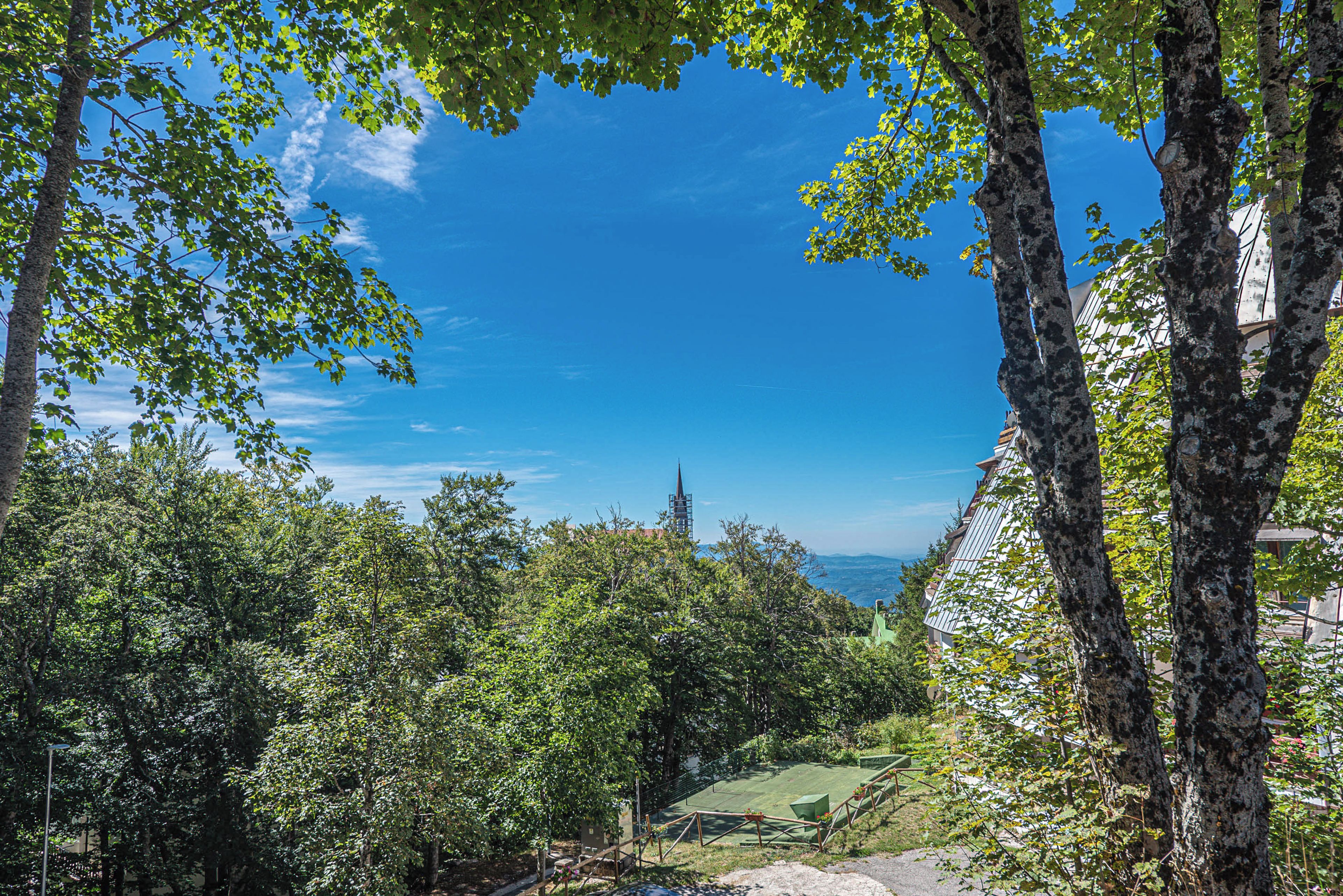 Un paisaje verde exuberante con árboles y un cielo azul despejado.
