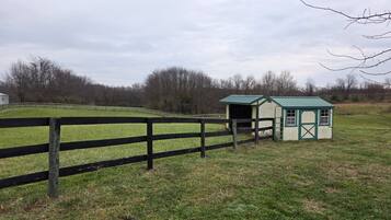 Área da propriedade