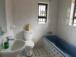 Hair dryer, towels, soap, toilet paper