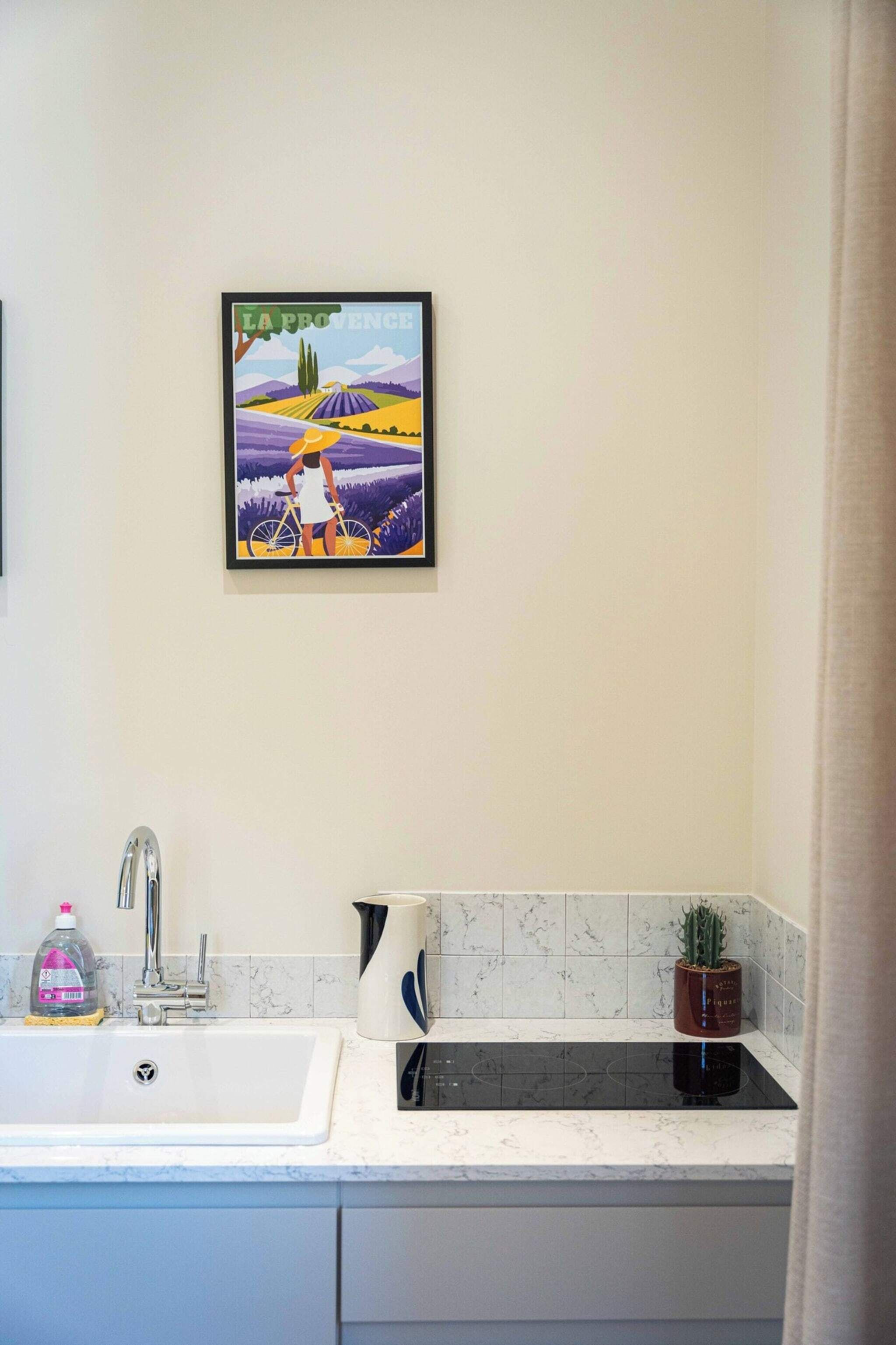 Une salle de bain avec un lavabo blanc, un tableau encadré représentant une femme à vélo, une plante en pot et un flacon de savon.