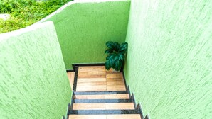 Una escalera con peldaños de madera y bordes negros, rodeada de paredes verdes.