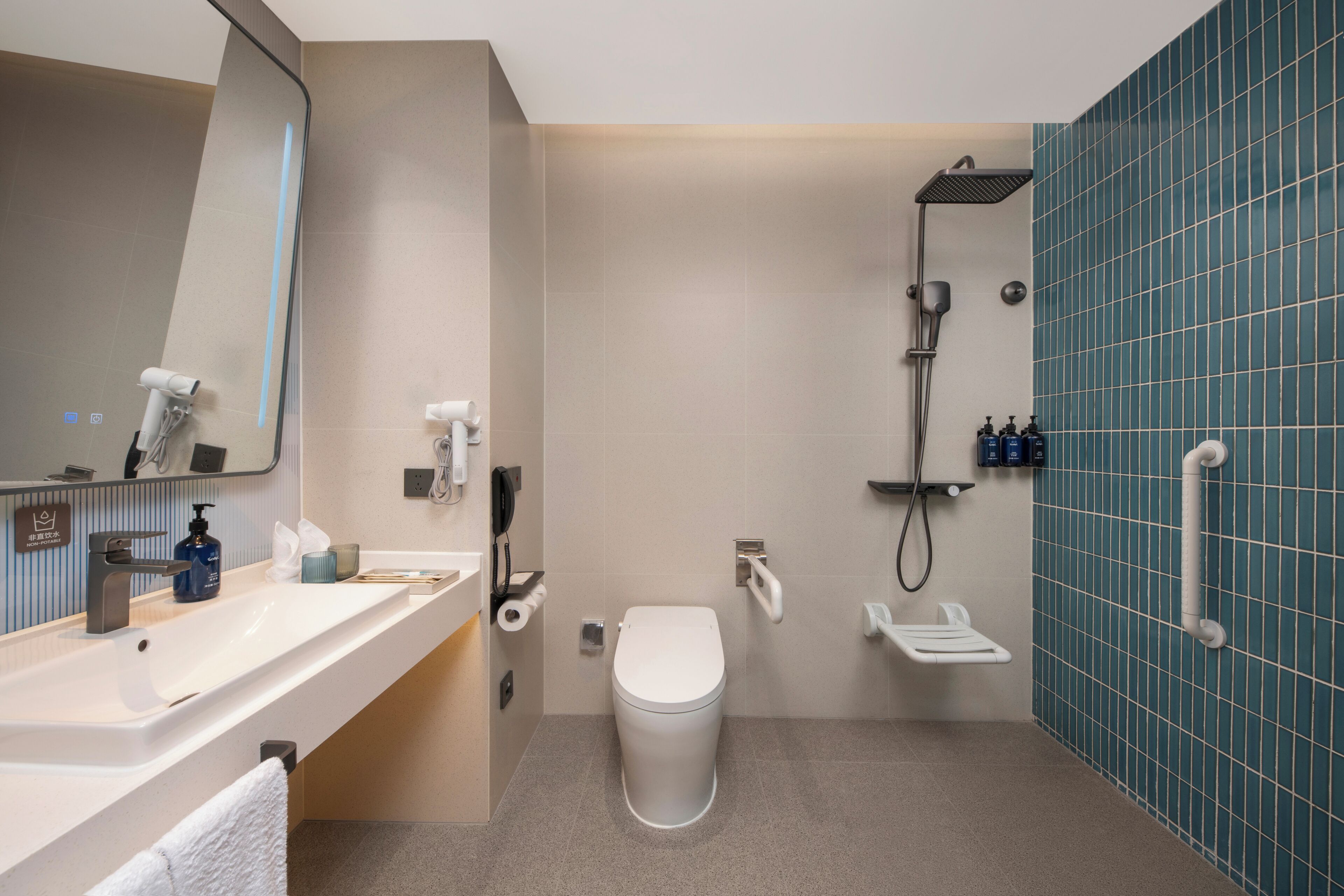 1 King Standard Accessible | Bathroom | Shower, hydromassage showerhead, free toiletries, hair dryer
