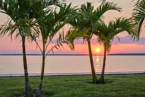 Vlak bij het strand, strandlakens
